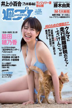 电视剧楚汉骄雄